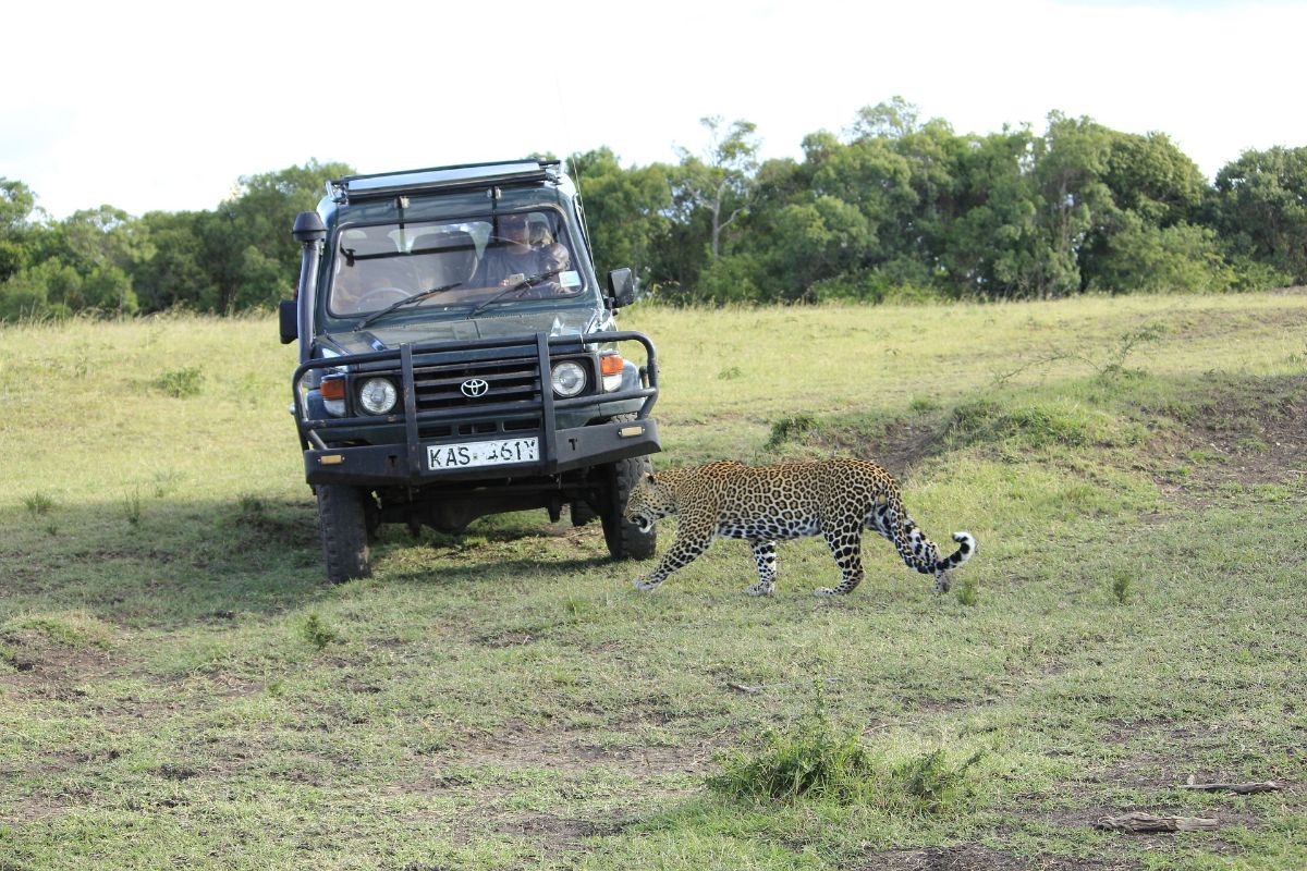 1-Day Masai Mara Flying Package